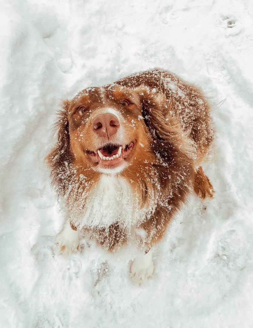 Coastal - Lightroom Presets, Mobile + Desktop - Image 3